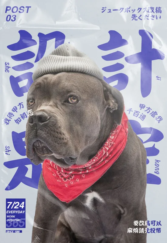 小狗主题海报